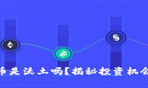 加密货币是沃土吗？揭秘投资机会与风险