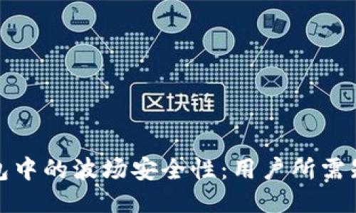 探讨TP钱包中的波场安全性：用户所需知道的一切