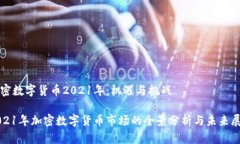 加密数字货币2021年：机遇