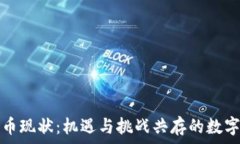   非洲加密货币现状：机遇