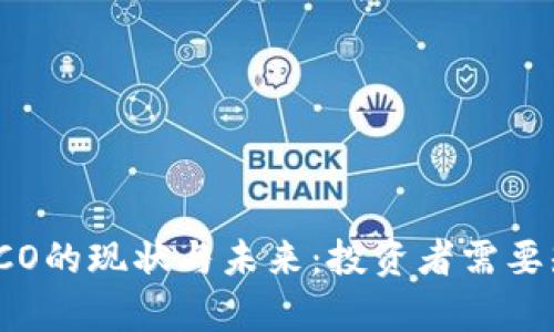 美国加密货币ICO的现状与未来：投资者需要知道的关键内容