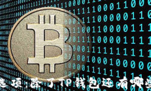 
苹果手机的支付选项：除了TP钱包还有哪些值得尝试的选择