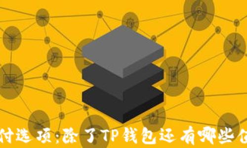 
苹果手机的支付选项：除了TP钱包还有哪些值得尝试的选择