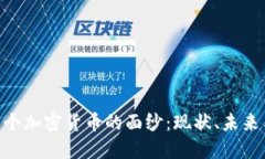 揭开100万个加密货币的面