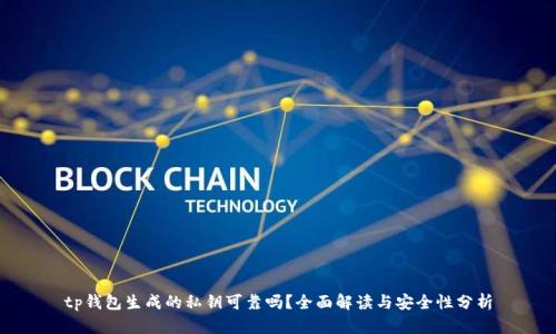 tp钱包生成的私钥可靠吗？全面解读与安全性分析