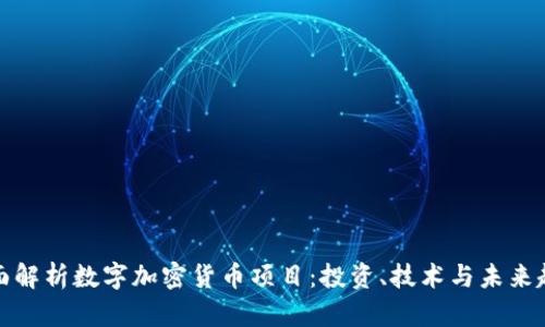 全面解析数字加密货币项目：投资、技术与未来趋势