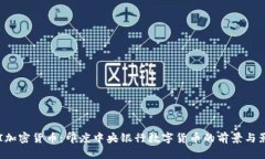 RBI加密货币：印度中央银行数字货币的前景与影