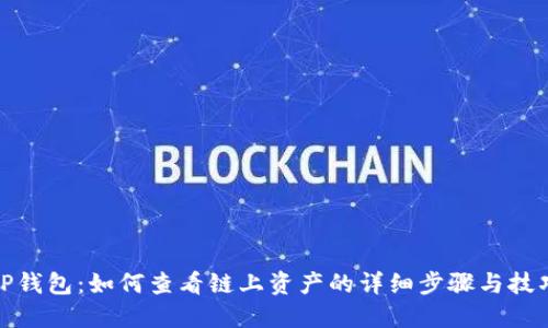 TP钱包：如何查看链上资产的详细步骤与技巧