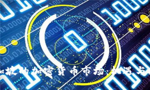 新加坡的加密货币市场：机遇与挑战
