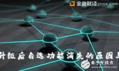 T P 钱包升级后自选功能消失的原因与解决方案