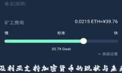 阿尔及利亚支持加密货币