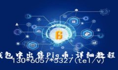如何在TP钱包中出售Pig币：