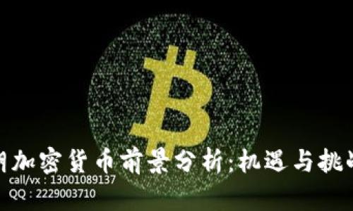 : 伊朗加密货币前景分析：机遇与挑战并存