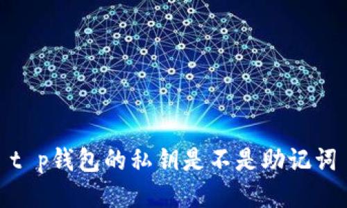 t p钱包的私钥是不是助记词