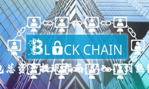 TP钱包总资产提现指南：从入门到熟练操作