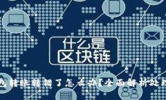 TP钱包转账转错了怎么办？全面解析处理办法