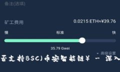 TP桌面版钱包是否支持BS