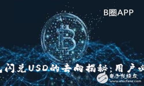  TP钱包闪兑USD的去向揭秘：用户必看指南
