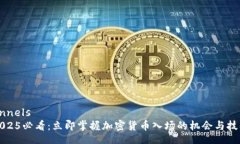 annels  2025必看：立即掌握加密货币入场的机会与