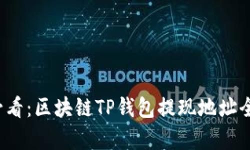 2025必看：区块链TP钱包提现地址全面解析