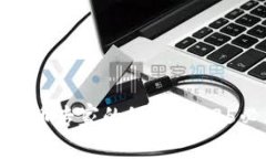 立即了解加密数字货币专