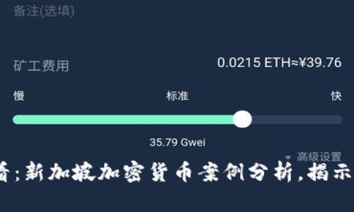 2025必看：新加坡加密货币案例分析，揭示未来趋势