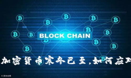 2025必看：加密货币寒冬已至，如何应对市场挑战？