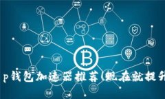 2023年必看：t p钱包加速器