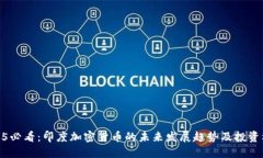 2025必看：印度加密货币的