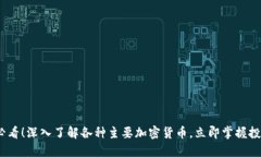 2025必看！深入了解各种主