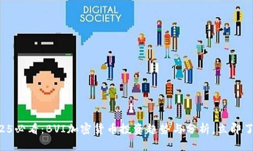 “2025必看：BVI加密货币投资趋势与分析，立即了解！”