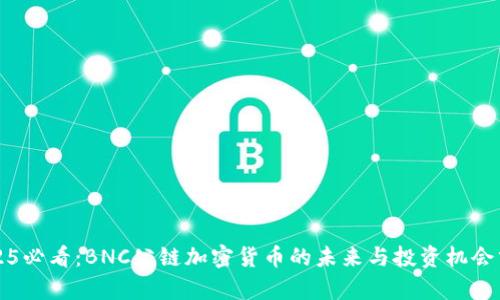 2025必看：BNC公链加密货币的未来与投资机会分析