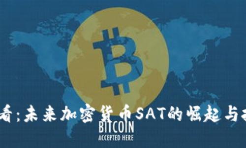 2025必看：未来加密货币SAT的崛起与投资机会