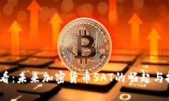 2025必看：未来加密货币SAT的崛起与投资机会