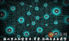 国内禁止加密货币：背景