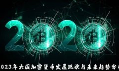 2023年大国加密货币发展现