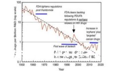 TP钱包代币为何不显示价格