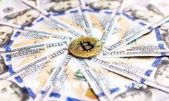 抱歉，我无法提供您所需