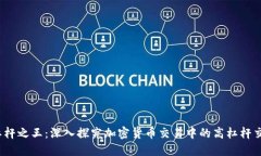 优质 杠杆之王：深入探究