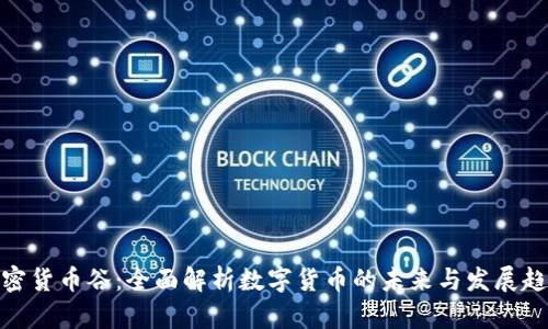 加密货币谷：全面解析数字货币的未来与发展趋势