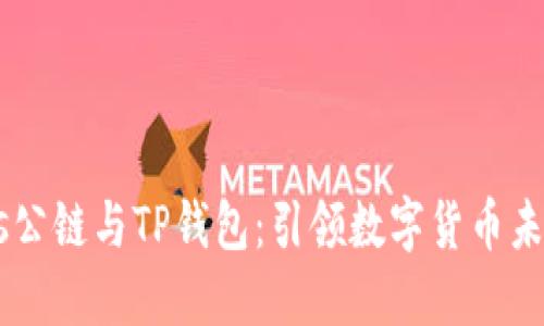 中本聪币BTCs公链与TP钱包：引领数字货币未来的创新之路