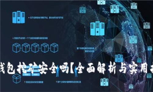 TP钱包挖矿安全吗？全面解析与实用指南
