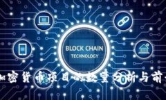 中国加密货币项目的数量