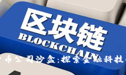 加密货币公司沙盒：探索金融科技的未来