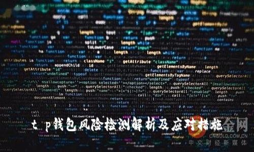 t p钱包风险检测解析及应对措施